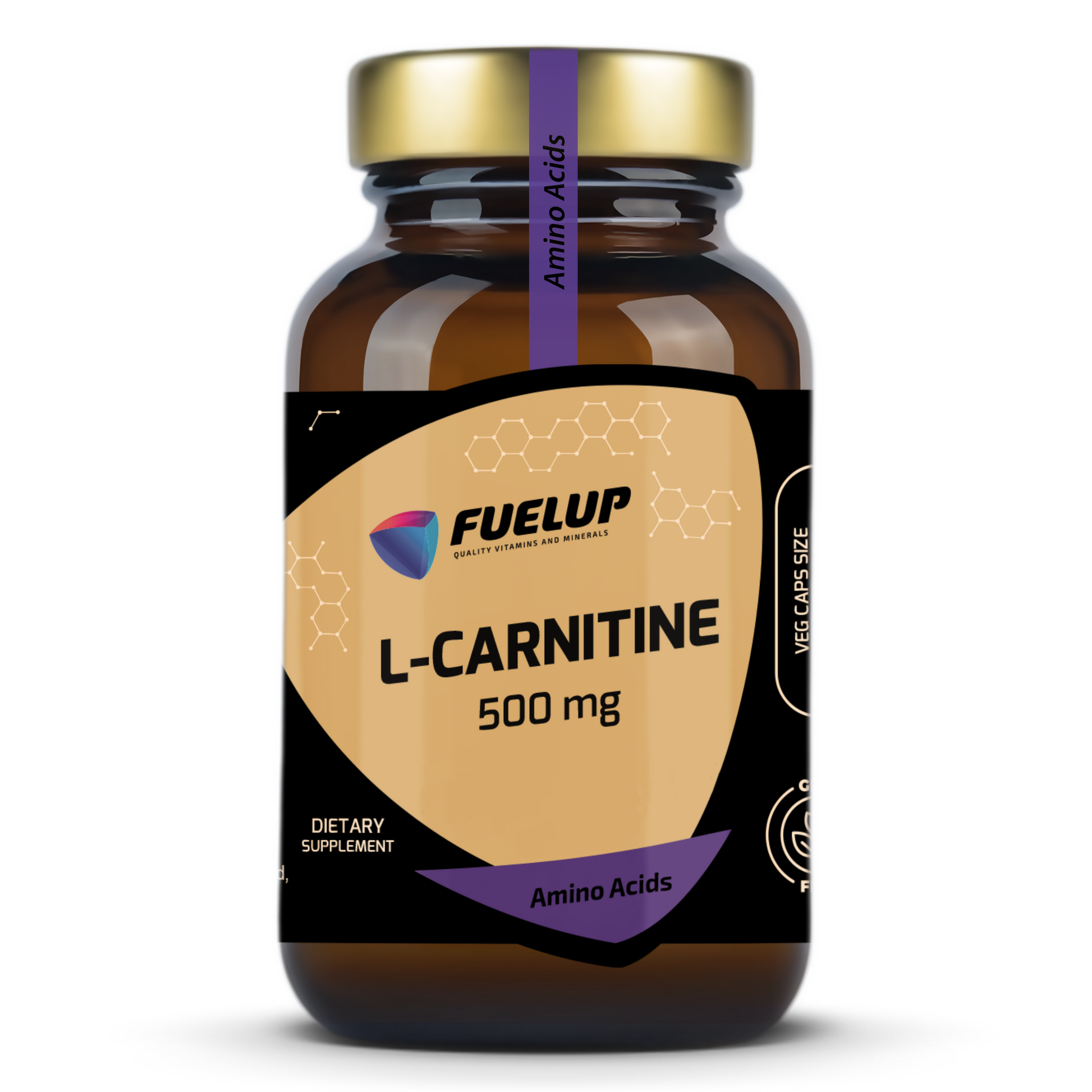 dc l carnitine Fuel-Up L-Carnitine 500 mg – Mans Proteīns