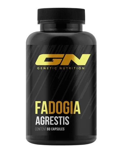 GN Fadogia Agrestis 60 Kapsulas